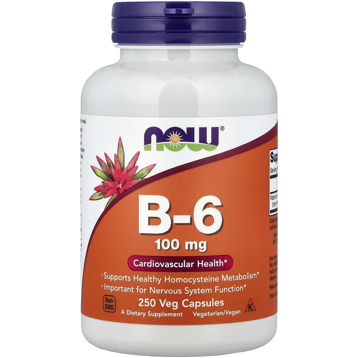 NOW Foods Vitamin B6 – 100mg, 250 Veg Capsules
