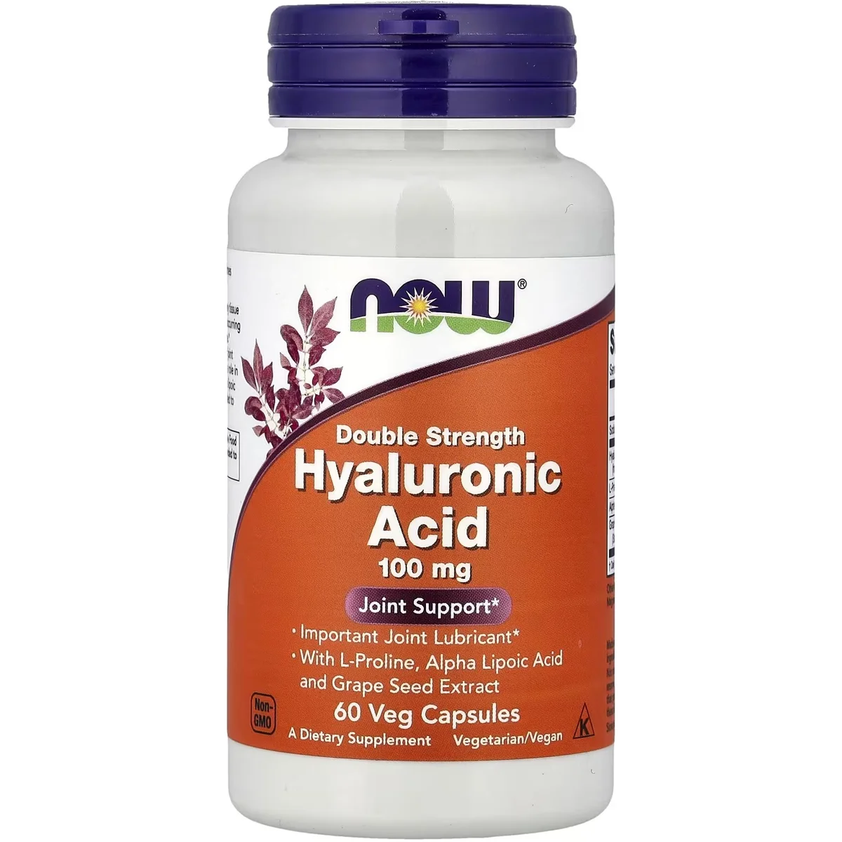NOW Foods Hyaluronic Acid – 100mg, 60 Veg Capsules