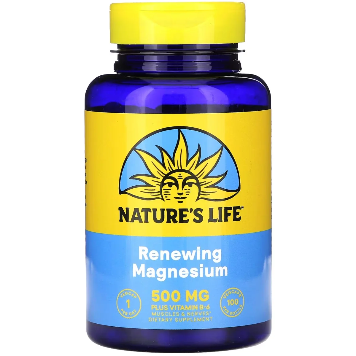 Nature's Life Magnesium with B6 – 500mg, 100 Capsules