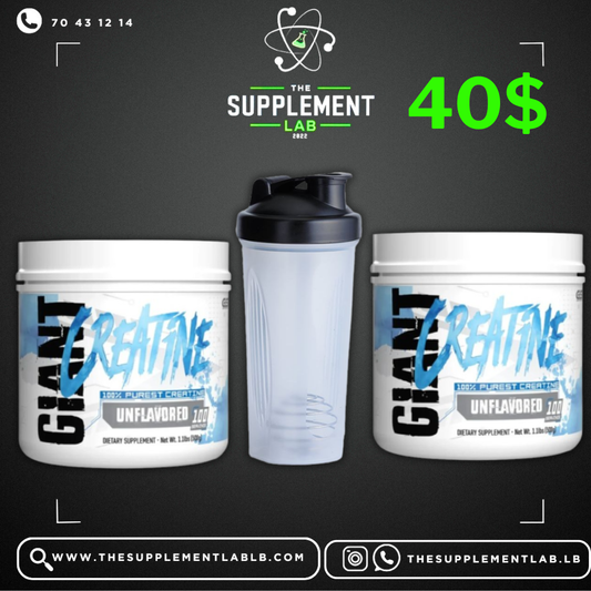 Creatine Power Bundle – 2 x Creatine 500 g with Shaker